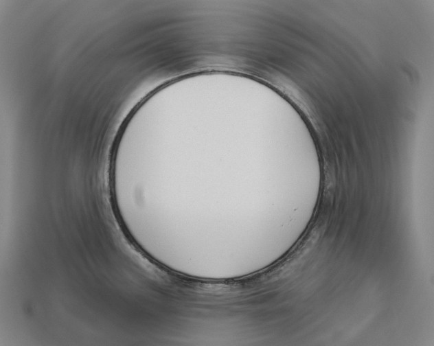 X0000113101339200909251023