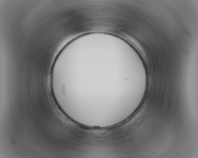 X0000113101340200909251023