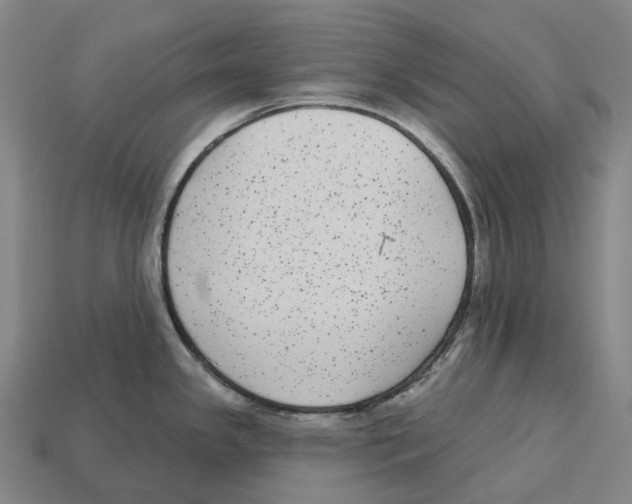 X0000113101341200909251023
