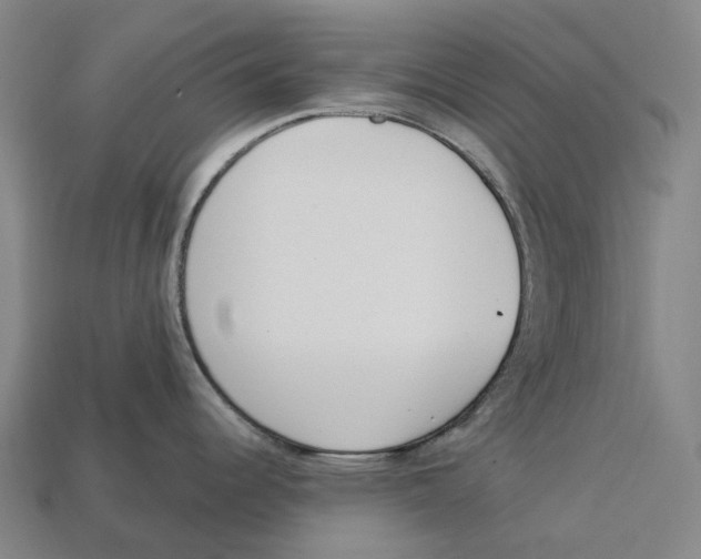 X0000113101344200909251024