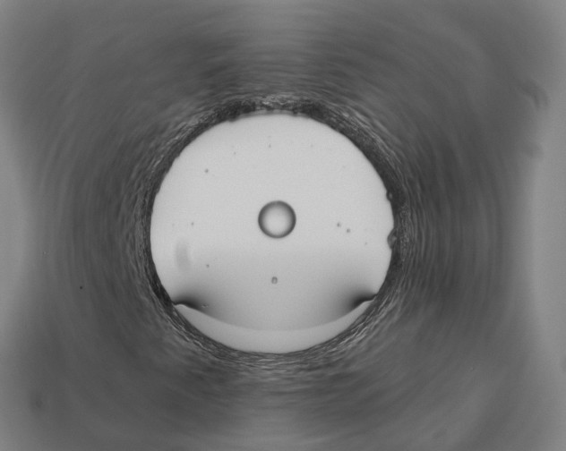 X0000113101345200909251023