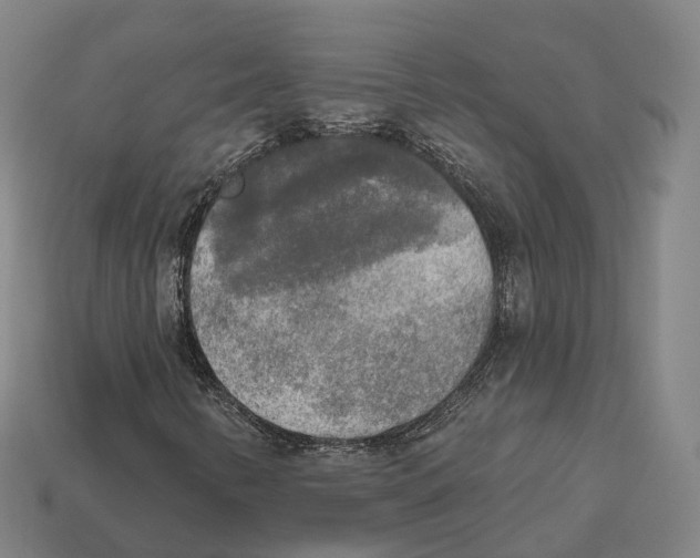 X0000113101346200909251023