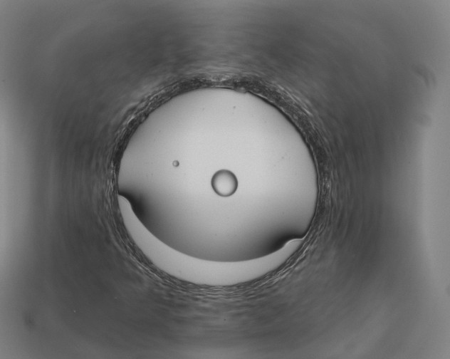 X0000113101349200909251023