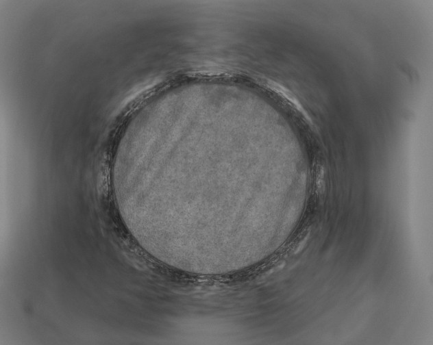 X0000113101350200909251023