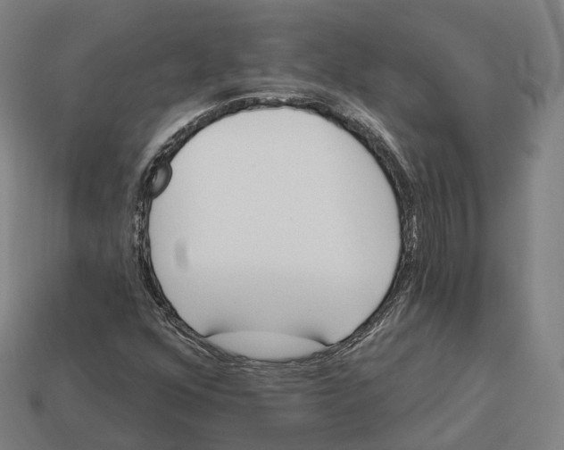 X0000113101352200909251023