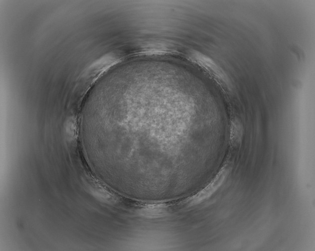 X0000113101353200909251023