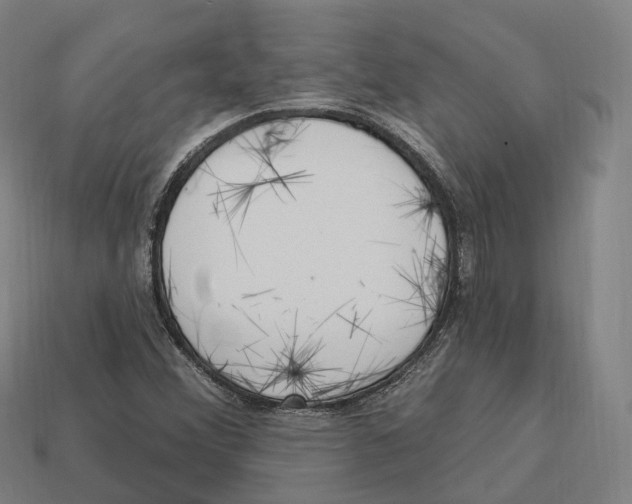 X0000113101356200909251023
