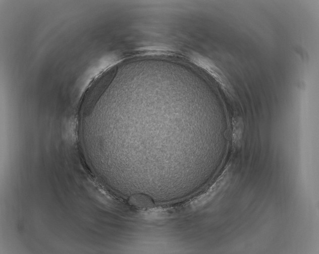 X0000113101357200909251023