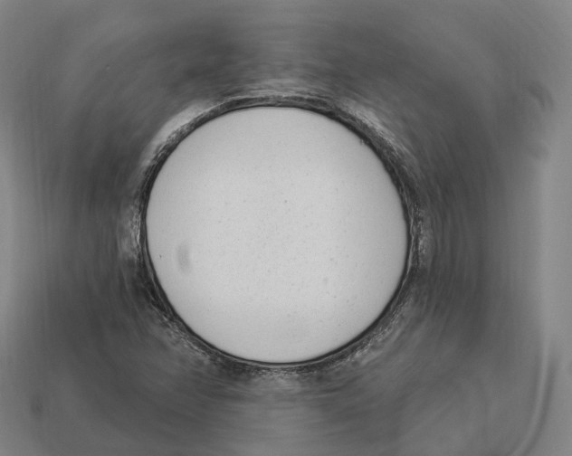 X0000113101358200909251023