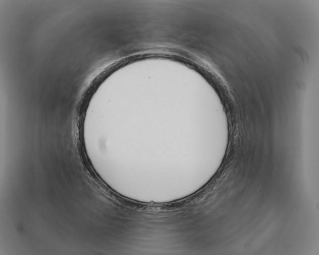 X0000113101360200909251023