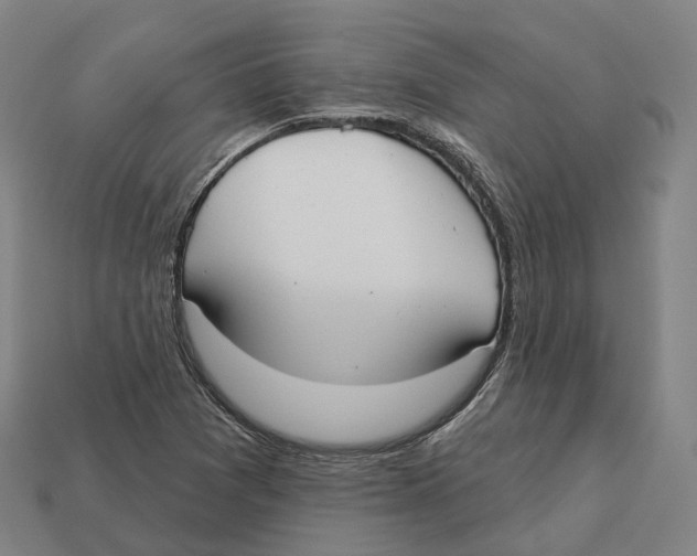 X0000113101361200909251023