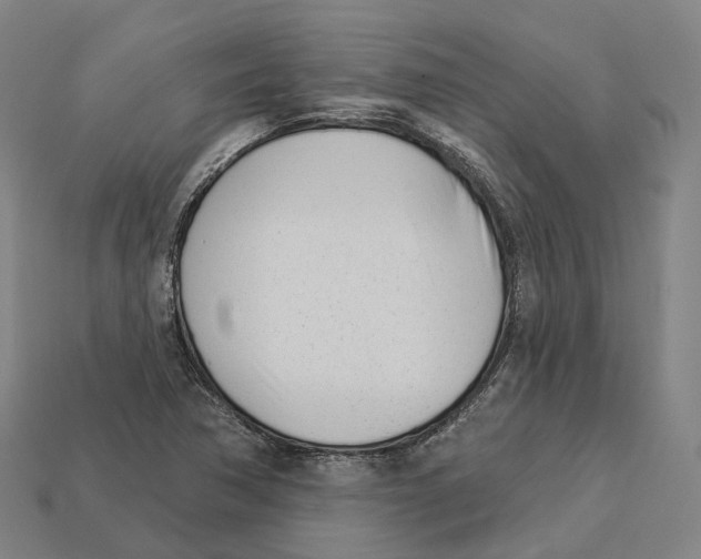 X0000113101362200909251023
