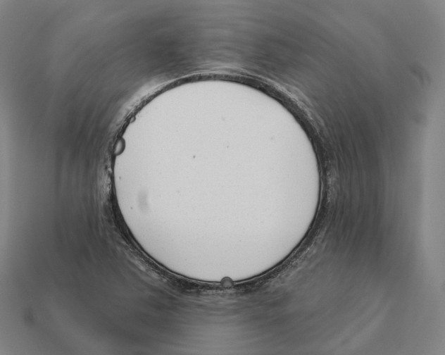X0000113101363200909251023