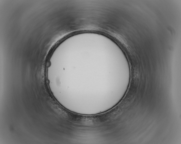 X0000113101364200909251023
