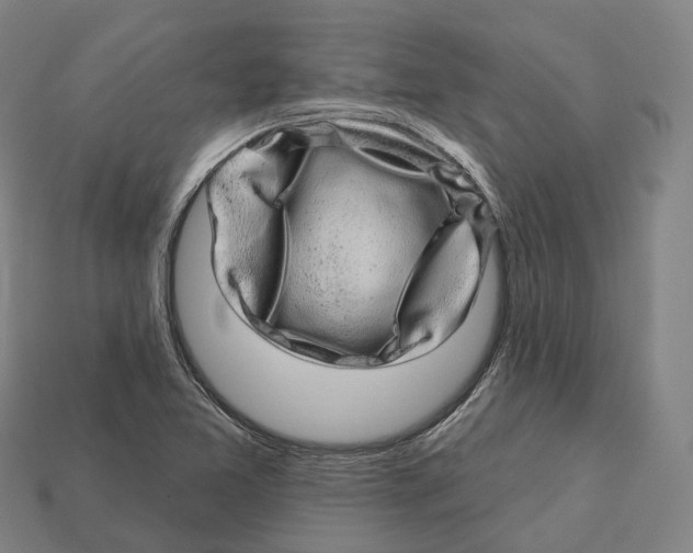 X0000113101365200909251023