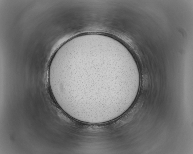 X0000113101366200909251023