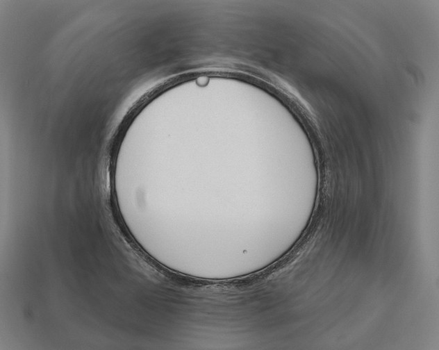 X0000113101368200909251023