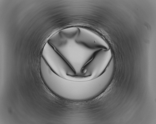 X0000113101369200909251023