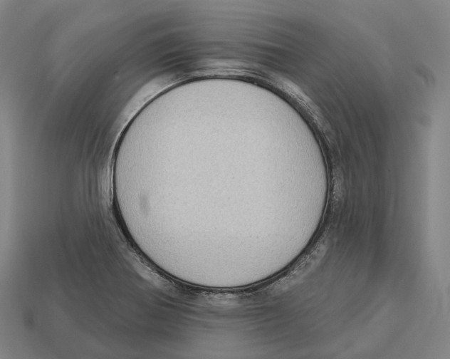 X0000113101370200909251023