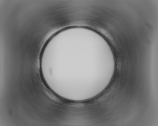 X0000113101372200909251023