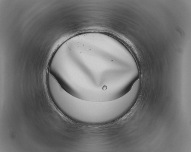 X0000113101373200909251023