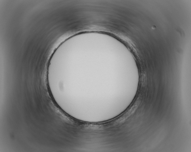 X0000113101374200909251023