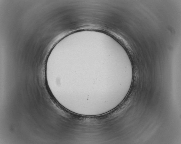 X0000113101375200909251023