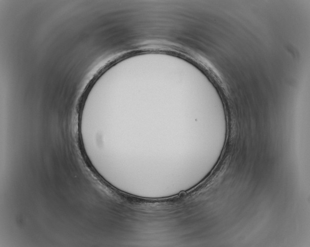 X0000113101376200909251023