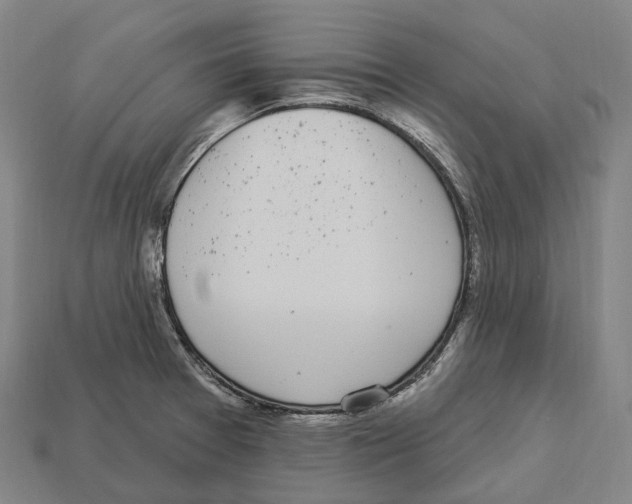 X0000113101377200909251022