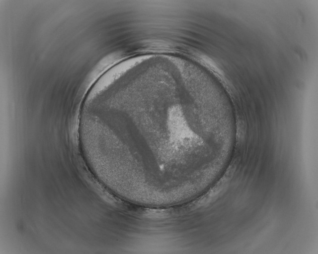 X0000113101378200909251022