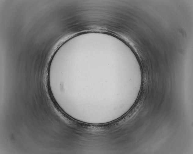 X0000113101379200909251022