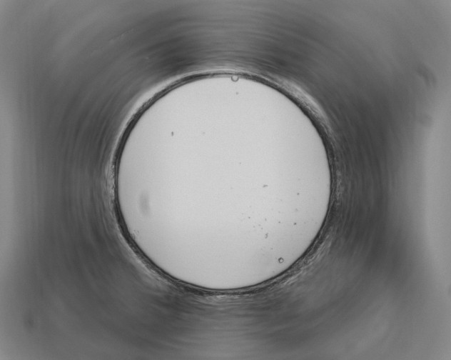 X0000113101380200909251022