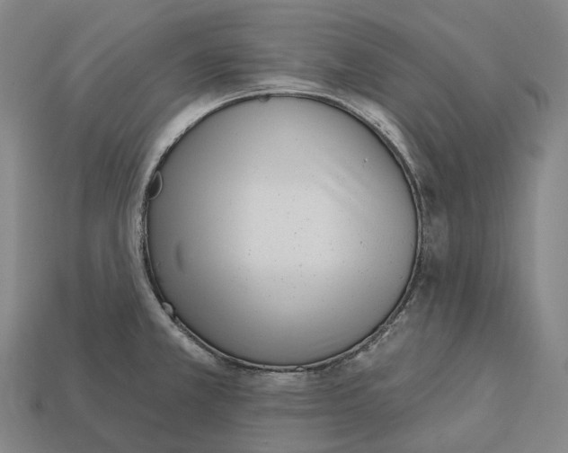 X0000113101381200909251022