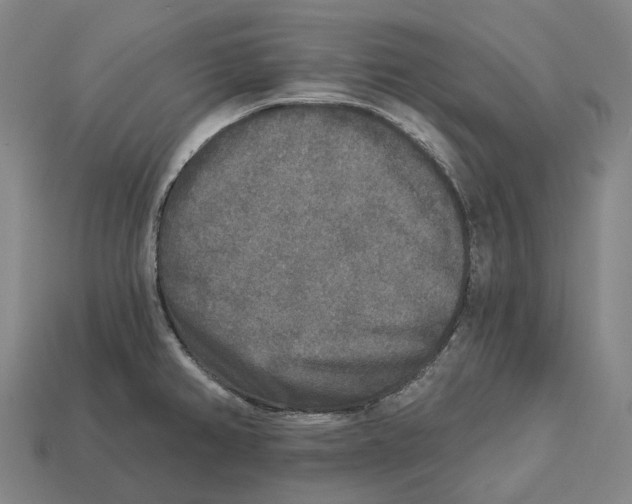 X0000113101382200909251022