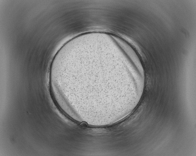 X0000113101383200909251022