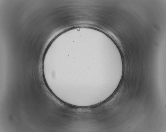 X0000113101384200909251022