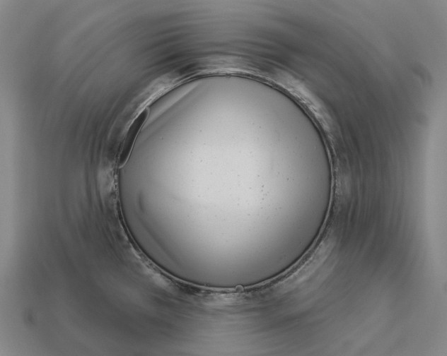 X0000113101385200909251022