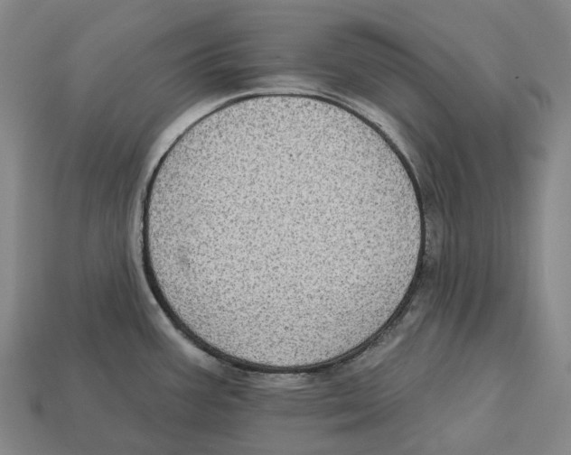 X0000113101387200909251022