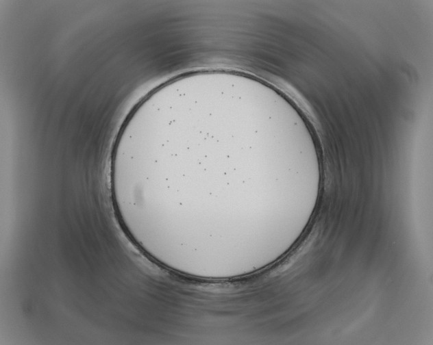 X0000113101388200909251022