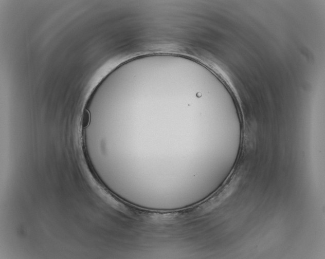 X0000113101389200909251022
