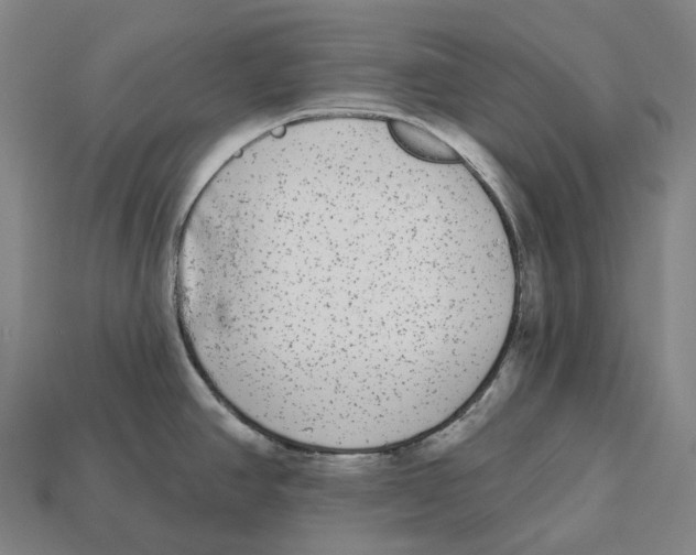 X0000113101390200909251022