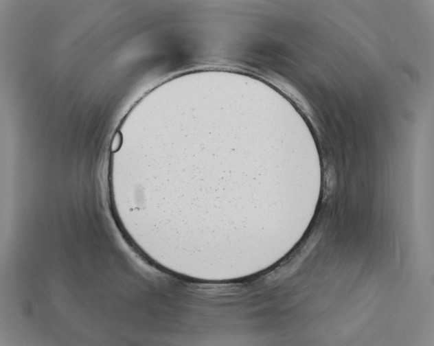 X0000113101391200909251022