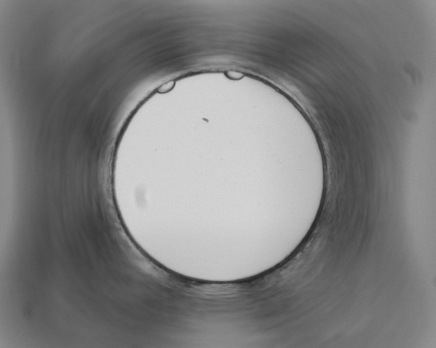 X0000113101392200909251022