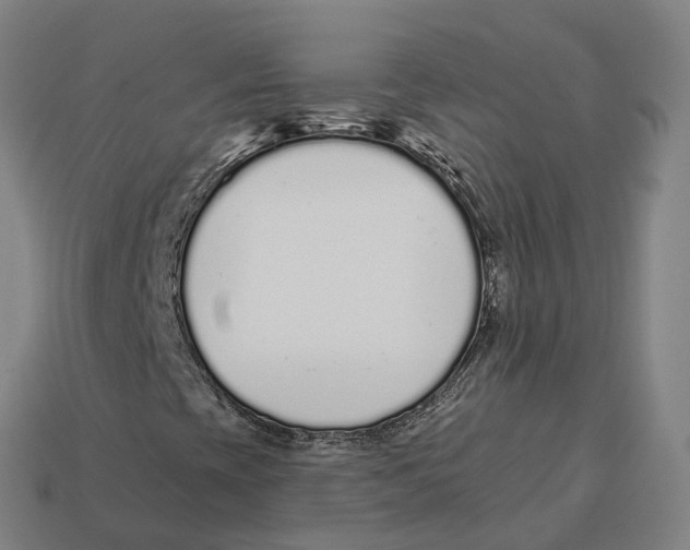 X0000113101393200909251022