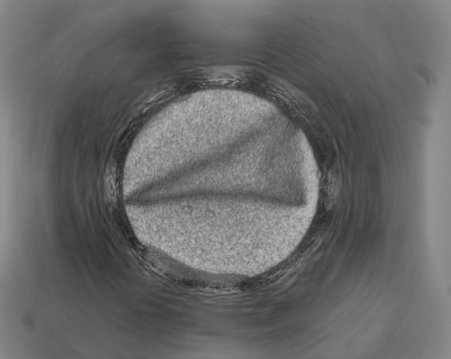 X0000113101394200909251022