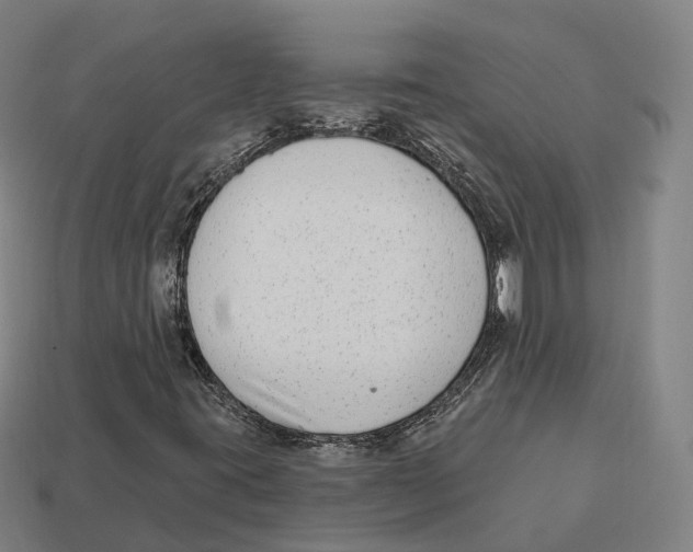 X0000113101395200909251022