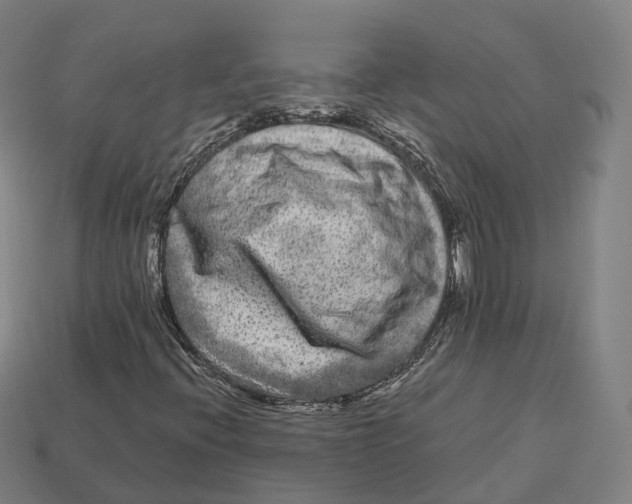 X0000113101396200909251022