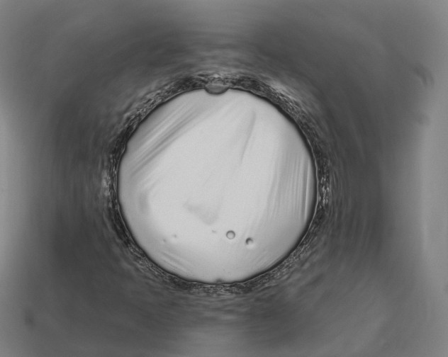 X0000113101397200909251022