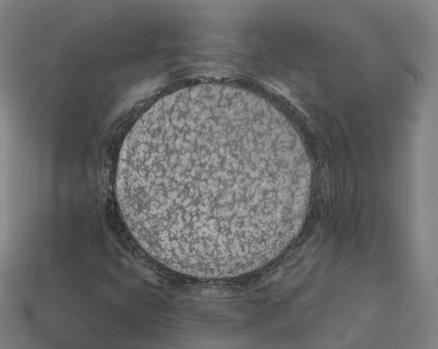X0000113101399200909251022