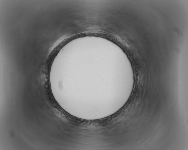 X0000113101400200909251022